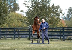 Best Of Bordeaux walking