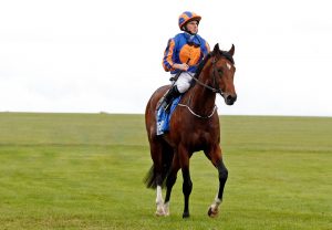 Churchill After Dewhurst Web