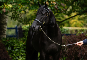 Camille Pissarro Headshot