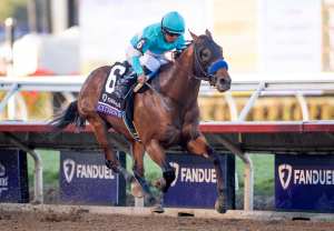 Citizen Bull Juvenile