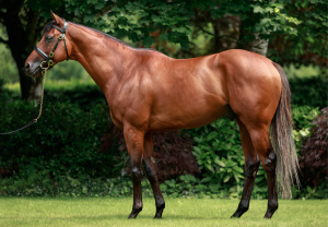 City Of Troy Conformation