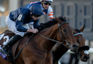 Henri Matisse Headshot