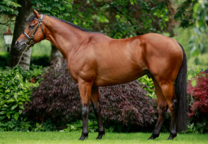 Henry Longfellow Conformation