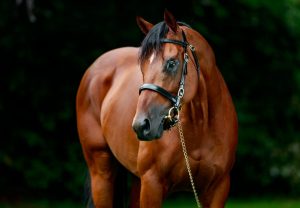 Henry Longfellow Head Shot