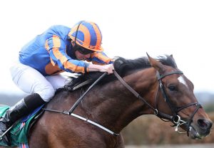 Order Of St George Web