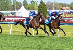 Private Life Caulfield