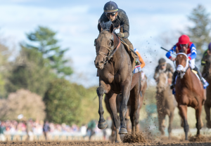 Sierre Leone Bluegrass