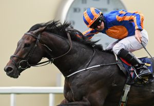 Sioux Nation Norfolk Stakes