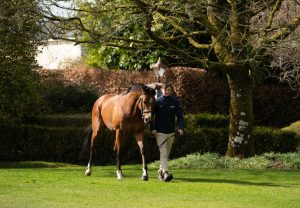 St Marks Basilica 23Rd March 2560