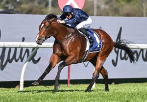 Storm Boy San Domenico Stakes