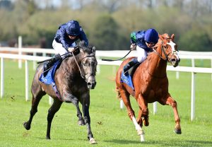 The Antarctic Winning At Tipperary